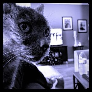 Meet your Posher Auntie Shelly!